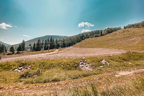 Lone Eagle 3000 by SummitCove Vacation Lodging