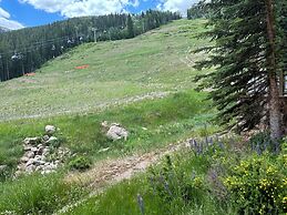 Lone Eagle 3000 by SummitCove Vacation Lodging