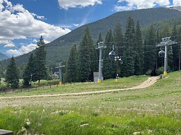 Lone Eagle 3000 by SummitCove Vacation Lodging