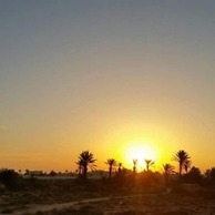 Hôtel Les Palmes d'Or