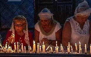 Hôtel Les Palmes d'Or