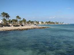 Hôtel Les Palmes d'Or