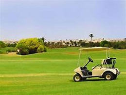 Hôtel Les Palmes d'Or