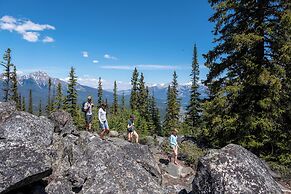 Buffalo Lodge 8411 by SummitCove Vacation Lodging