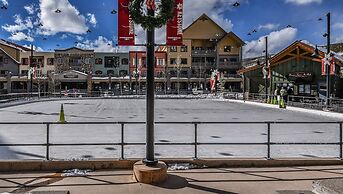 Buffalo Lodge 8411 by SummitCove Vacation Lodging