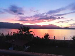 Alekos Beach Houses - Alekos Beach Complex