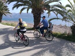 Alekos Beach Houses - Alekos Beach Complex