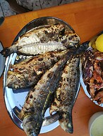 Alekos Beach Houses - Alekos Beach Complex