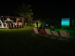 Alekos Beach Houses - Alekos Beach Complex