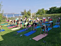 Alekos Beach Houses - Alekos Beach Complex