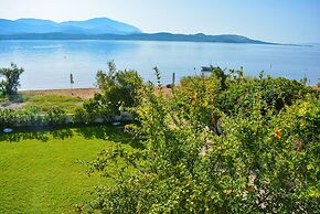 Alekos Beach Houses - Alekos Beach Complex