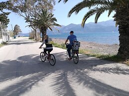 Alekos Beach Houses - Alekos Beach Complex