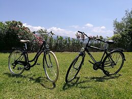 Alekos Beach Houses - Alekos Beach Complex