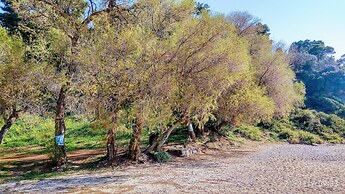 Spacious house with seaview