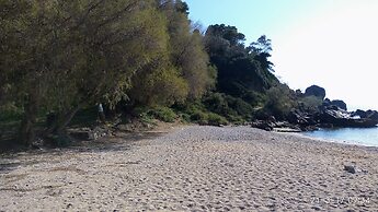 George Apartments by the Sea and Airport