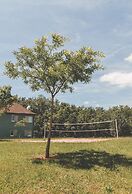 Terres de France - Domaine de Claire Rive