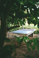 Terres de France - Domaine de Claire Rive