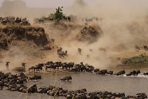 Gnu Mara River Camp