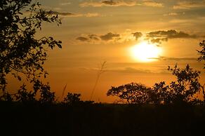 Gnu Mara River Camp