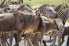 Gnu Mara River Camp