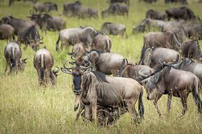 Gnu Mara River Camp