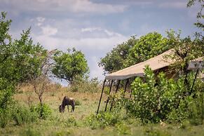 Gnu Mara River Camp