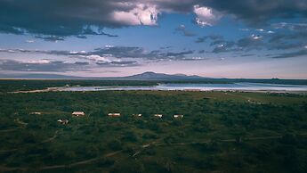 Gnu Ndutu Camp