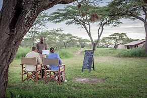 Gnu Ndutu Camp