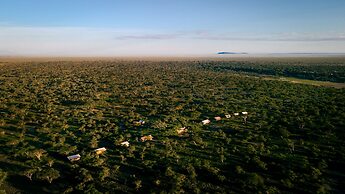 Gnu Ndutu Camp