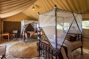 Gnu Ndutu Camp