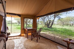 Gnu Ndutu Camp