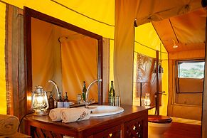 Gnu Ndutu Camp