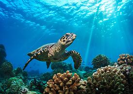 Baglioni Resort Maldives Luxury All Inclusive - LHW