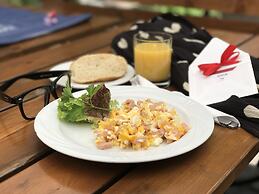 Czarna Kawka Apartments