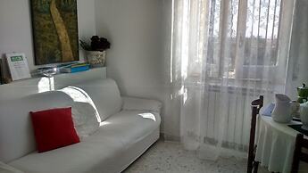 Welcome to Alberobello