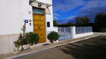 Welcome to Alberobello