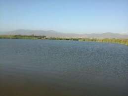 Departamento Courtin