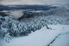 Tree of Life Grand Oak Manor, Binsar Wildlife Sanctuary