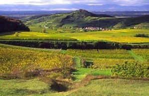 Landgasthof Zum Lamm