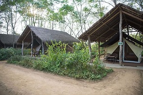 Tigertops Elephant Camp