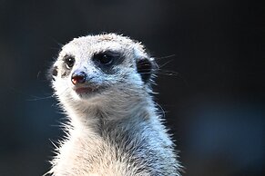 Tosei Hotel Cocone Kanda