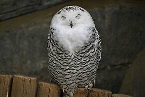 Tosei Hotel Cocone Kanda