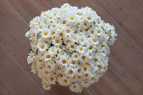 Golda Vacation Rentals