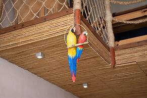 Demeure Des Huiles Précieuses