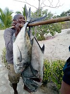 Demeure Des Huiles Précieuses