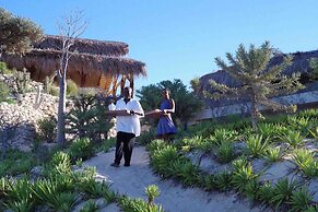 Demeure Des Huiles Précieuses