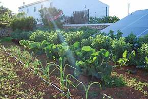 Agroturismo Biniati Des Pi