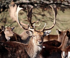 Wine & SPA Complex Starossel