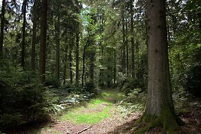 B&B Au Fil Des Saisons Sur La Wiels
