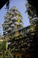 JOIVY Bohèmien District